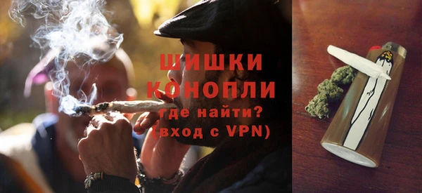 индика Белокуриха