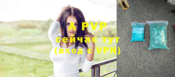 индика Белокуриха