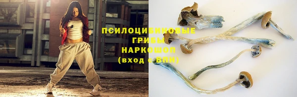 индика Белокуриха
