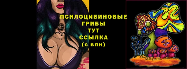 ПСИЛОЦИБИНОВЫЕ ГРИБЫ Беломорск