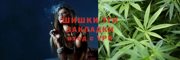 индика Белокуриха