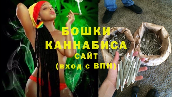 индика Белокуриха
