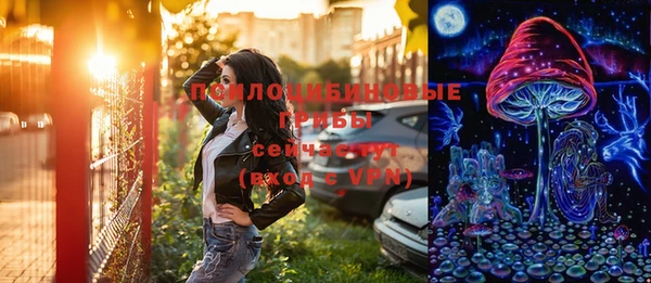 индика Белокуриха
