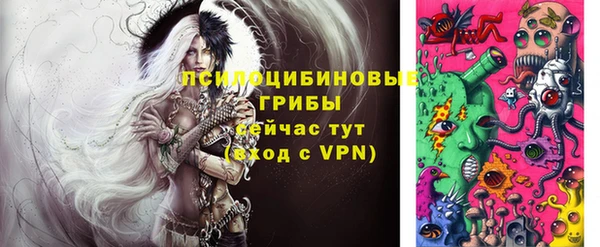 ПСИЛОЦИБИНОВЫЕ ГРИБЫ Беломорск