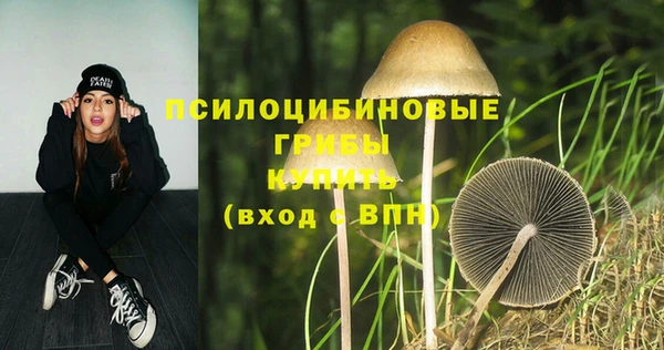 ПСИЛОЦИБИНОВЫЕ ГРИБЫ Беломорск