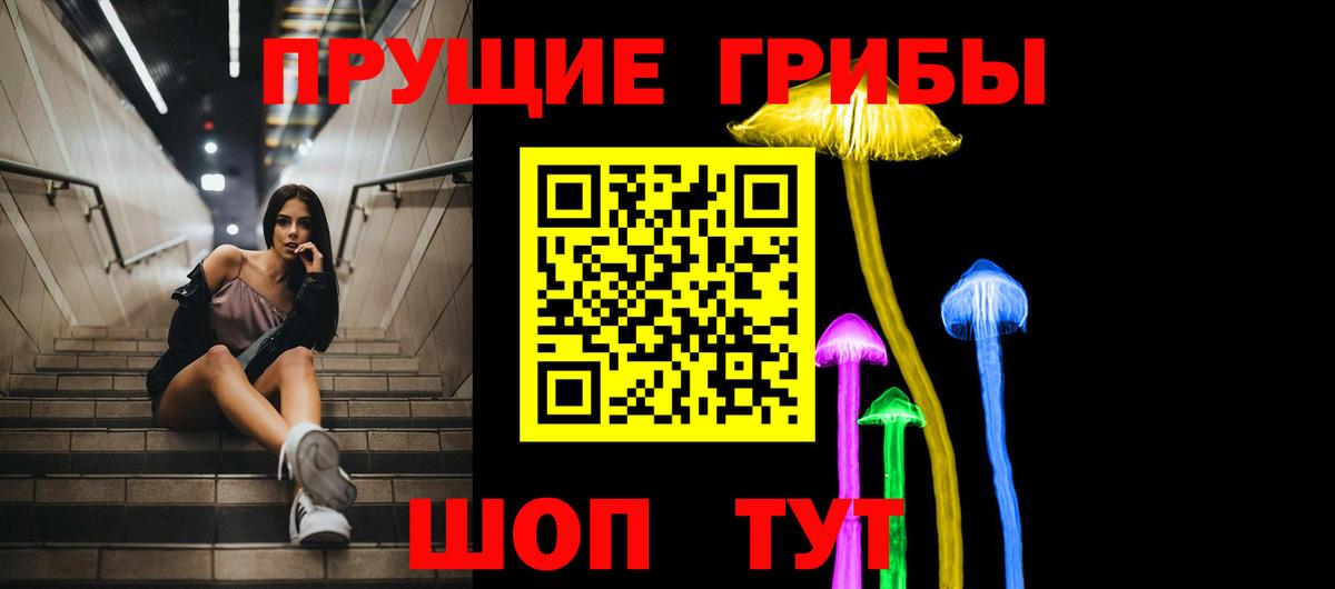 Псилоцибиновые грибы ЛСД  Вход с VPN  Реж  Псилоцибиновые грибы GOLDEN TEACHER 